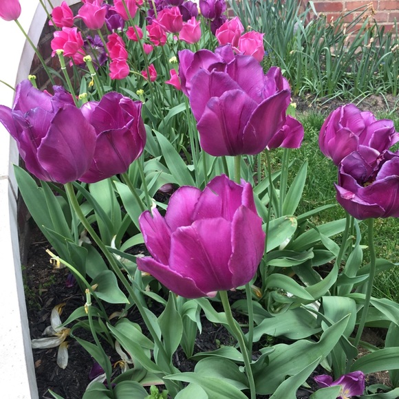 Meet your Posher, Terry - Picture 12 of 16